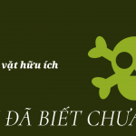 10 mẹo vặt hữu ích cần biết