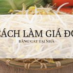 Cách làm giá đỗ bằng cát tại nhà