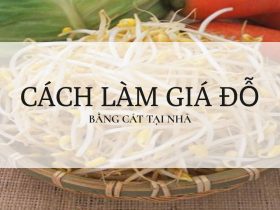 Cách làm giá đỗ bằng cát tại nhà