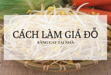 Cách làm giá đỗ bằng cát tại nhà
