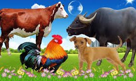 Bài thơ các con cho bé