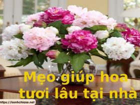 Những cách giúp hoa tươi lâu hơn