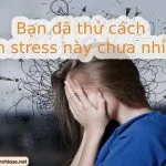 Các cách giảm stress, tạo niềm vui, sức khỏe trong cuộc sống
