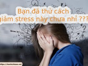 Các cách giảm stress, tạo niềm vui, sức khỏe trong cuộc sống