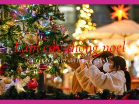 Tự làm cây thông tại nhà