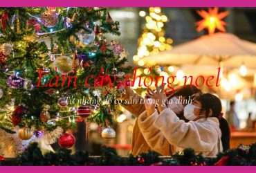 Tự làm cây thông tại nhà