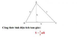 Cách tính diện tích hình tam giác