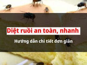 Những cách diệt ruồi hiệu quả tại nhà