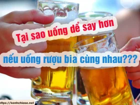 Tại sao uống bia rượu chung dễ gây say