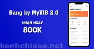 dang-ky-my-vib-nhan-800k-300x158.jpg.webp