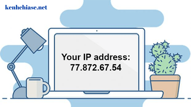 Lấy địa chỉ IP
